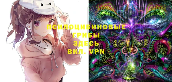 прущие грибы Абинск