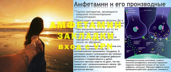 прущие крисы Абаза