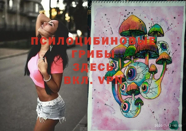 крисы Алексин