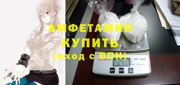 прущие грибы Абинск